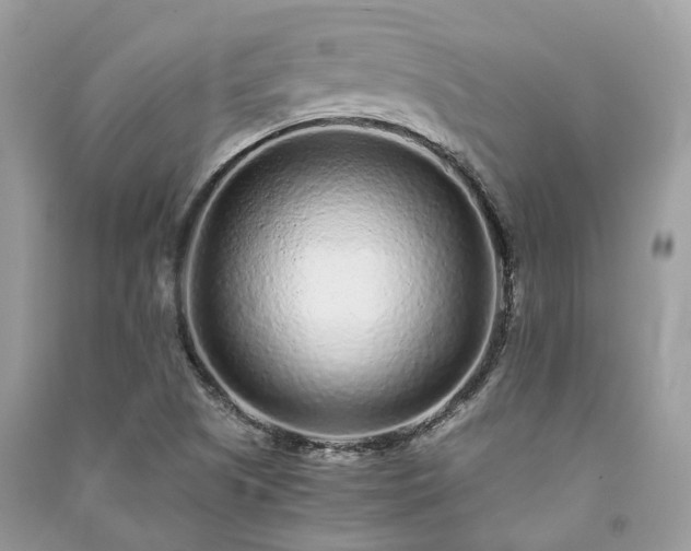 X0000090991505200708091508