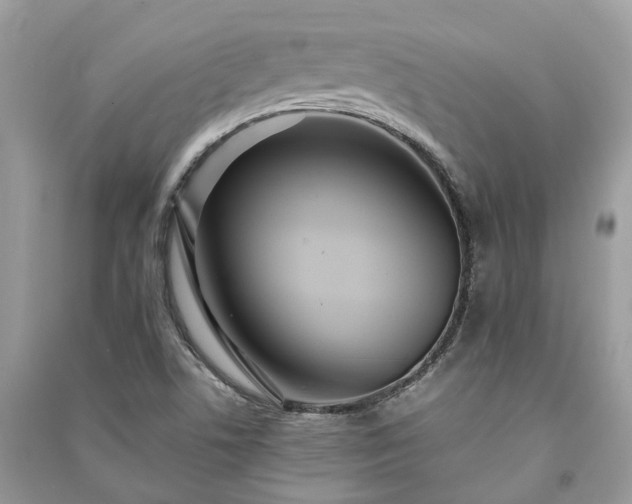 X0000090991506200708091508