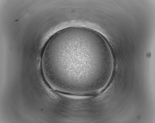 X0000090991507200708091508