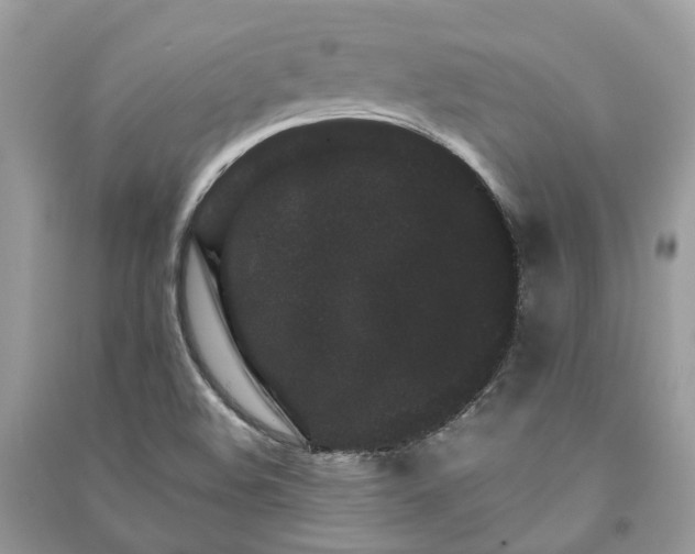 X0000090991508200708091508