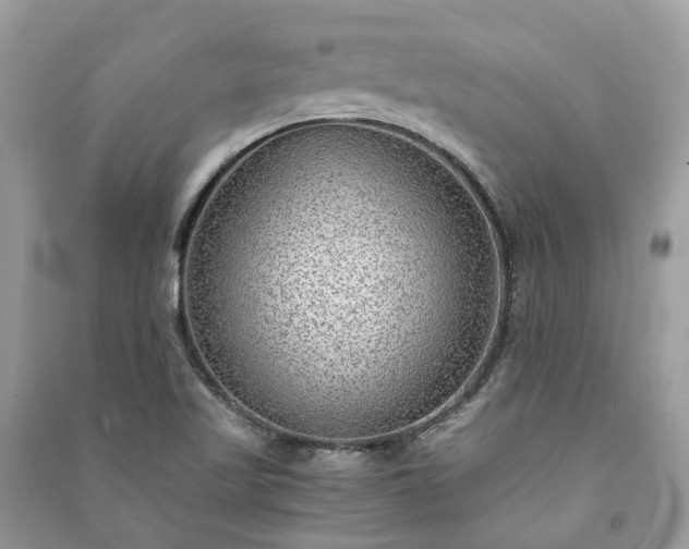 X0000090991509200708091508