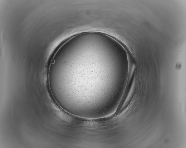 X0000090991511200708091508