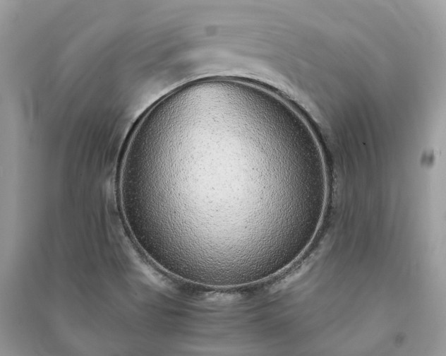 X0000090991513200708091508