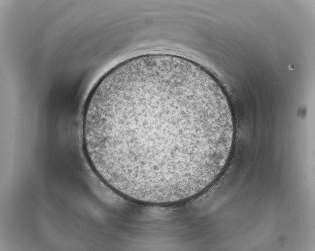 X0000090991514200708091508