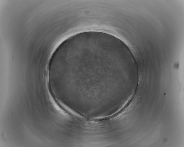 X0000090991515200708091508