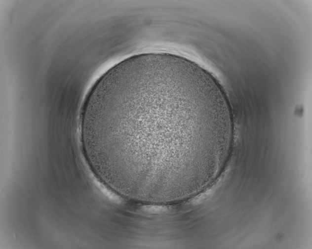 X0000090991517200708091508