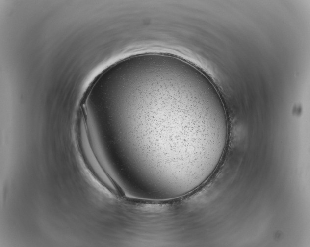 X0000090991518200708091508