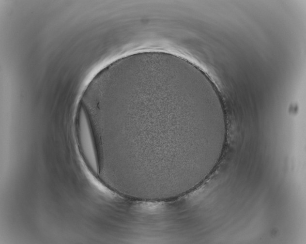 X0000090991519200708091508