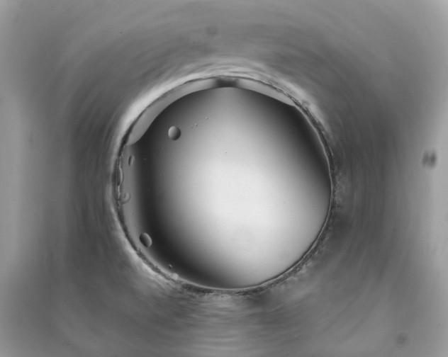 X0000090991520200708091508