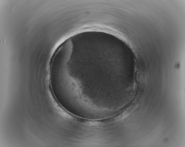 X0000090991522200708091508