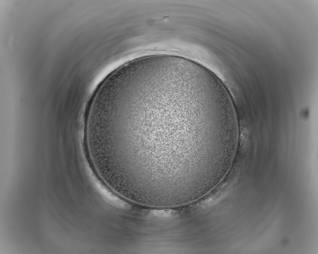 X0000090991523200708091508