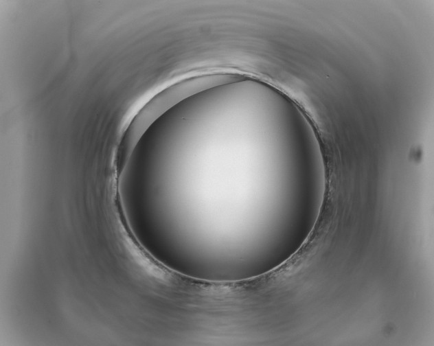 X0000090991524200708091508