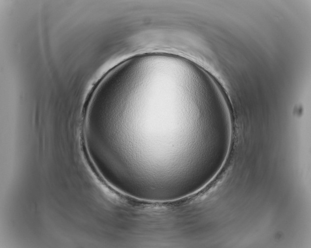 X0000090991525200708091508