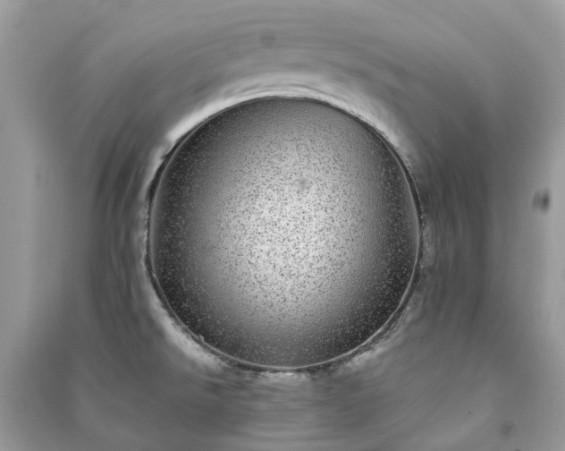 X0000090991526200708091508