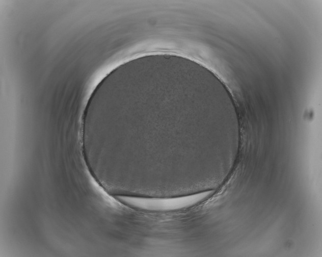 X0000090991527200708091508