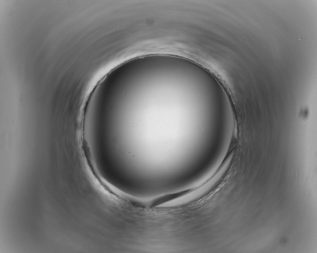 X0000090991528200708091508