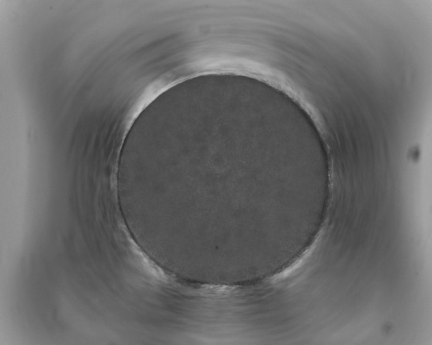 X0000090991529200708091508