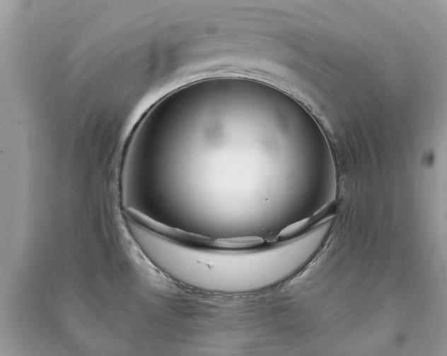 X0000090991530200708091508