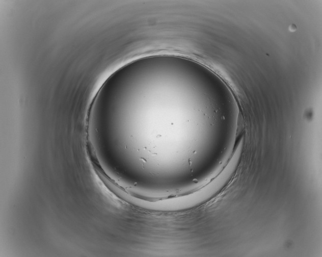 X0000090991532200708091508