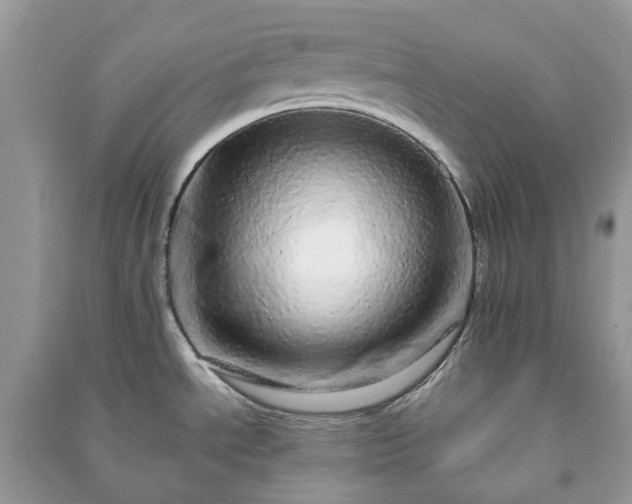 X0000090991534200708091508