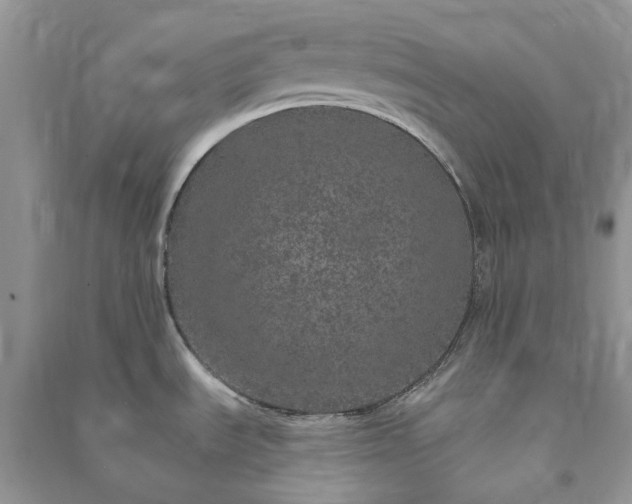 X0000090991535200708091508