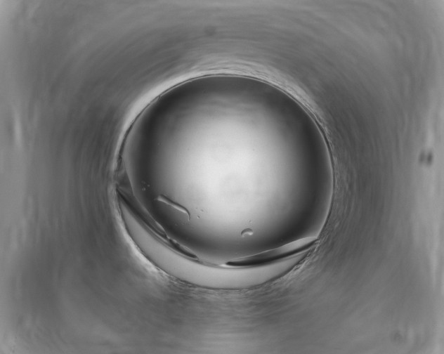 X0000090991536200708091508