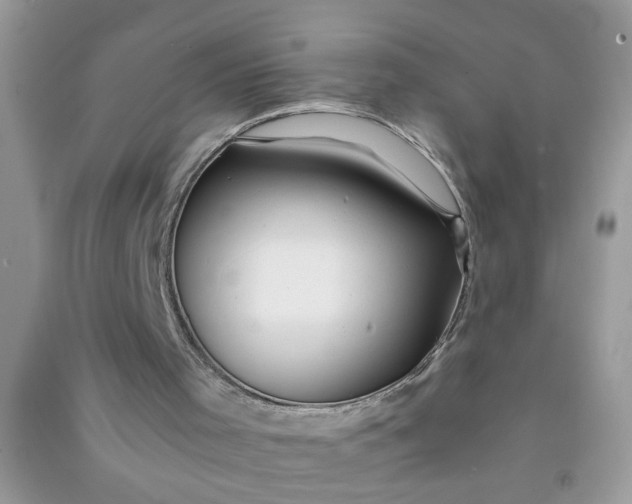 X0000090990001200708161927