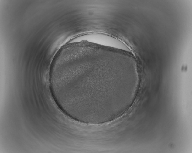 X0000090990002200708161927