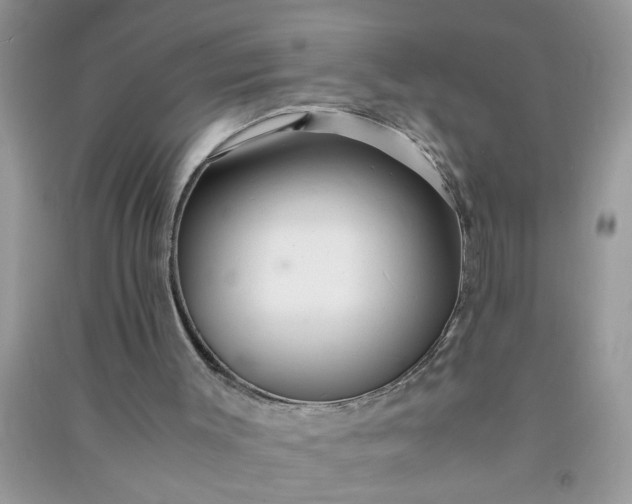 X0000090990003200708161927