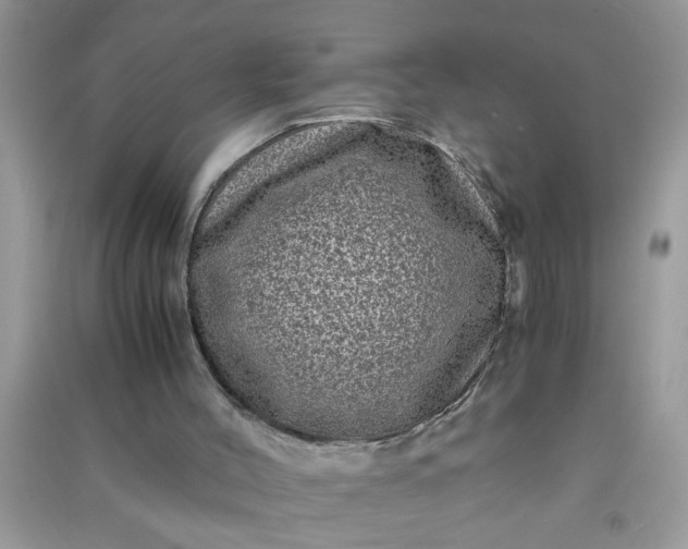 X0000090990004200708161927