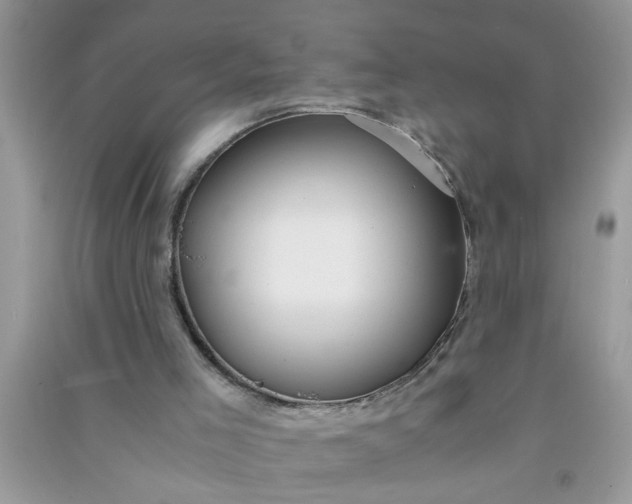 X0000090990005200708161927