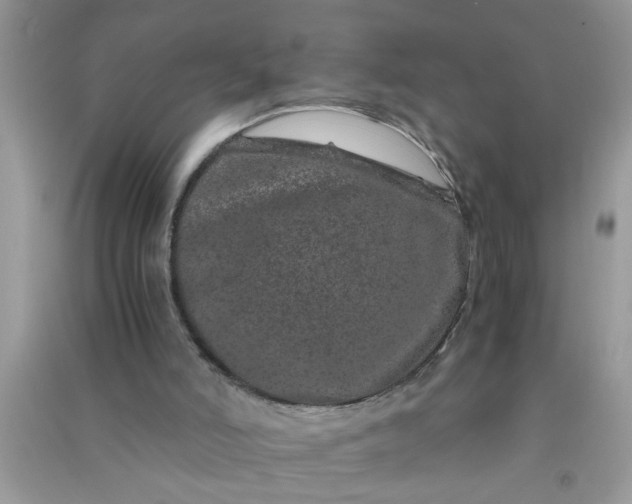 X0000090990006200708161927