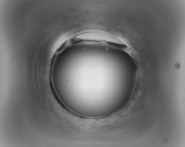 X0000090990007200708161927