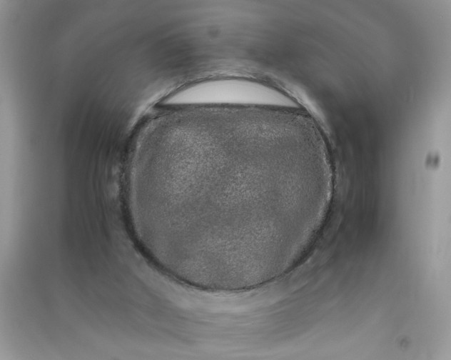 X0000090990010200708161927