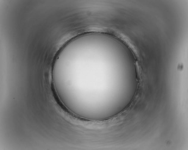 X0000090990011200708161926