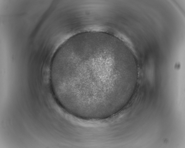 X0000090990012200708161926