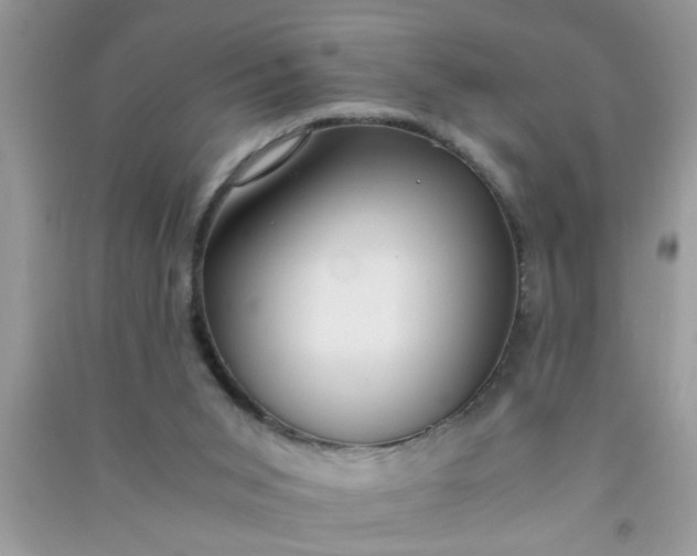 X0000090990015200708161926