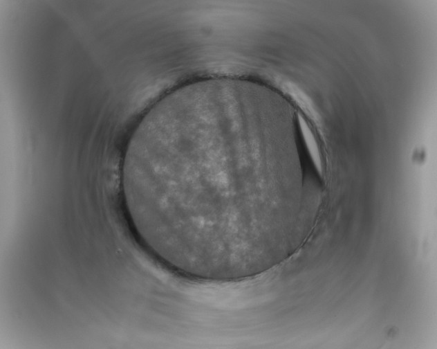 X0000090990017200708161926