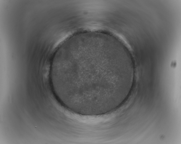 X0000090990018200708161926