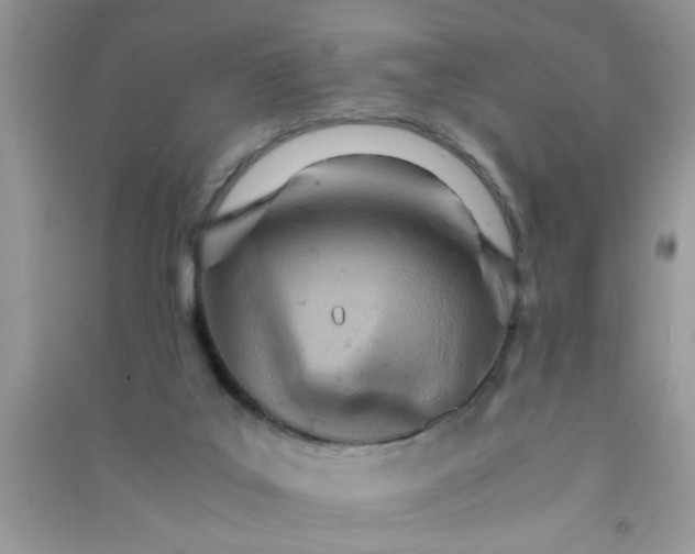 X0000090990019200708161926