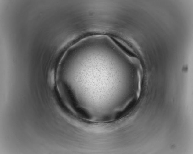 X0000090990020200708161926