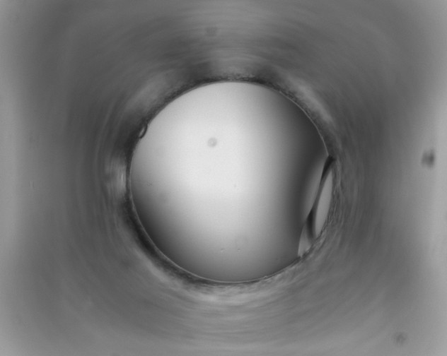 X0000090990021200708161926