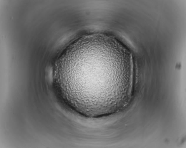 X0000090990022200708161926