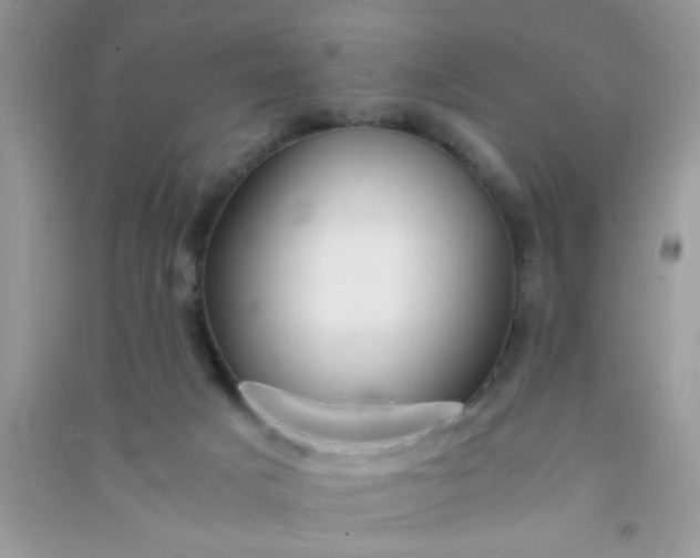 X0000090990025200708161926