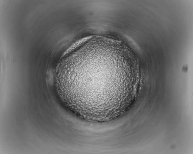 X0000090990026200708161926