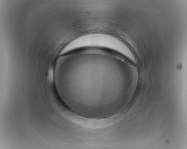 X0000090990027200708161926