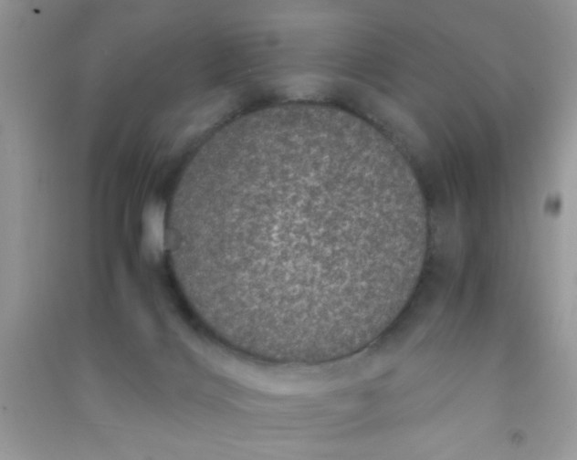 X0000090990028200708161926