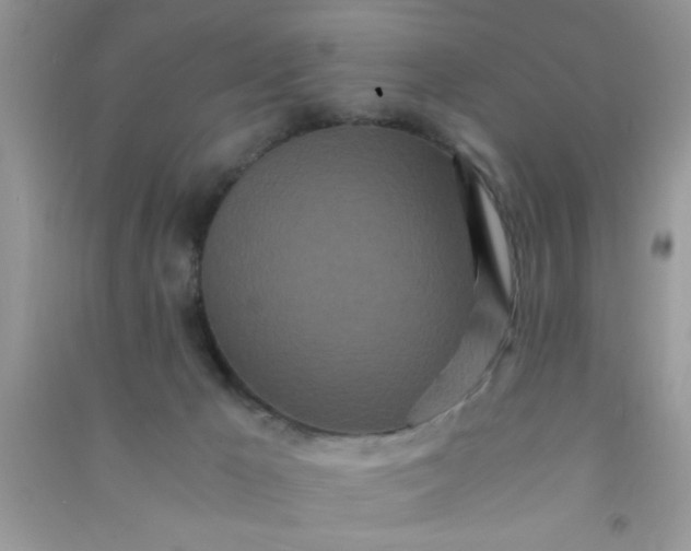 X0000090990029200708161926