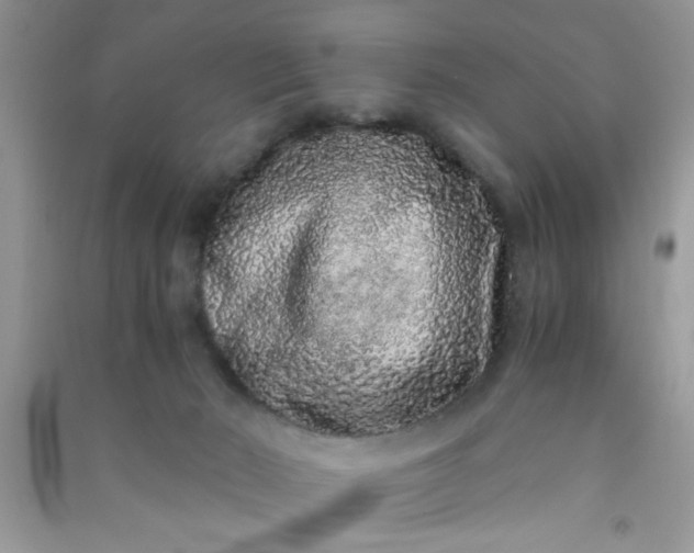 X0000090990030200708161926