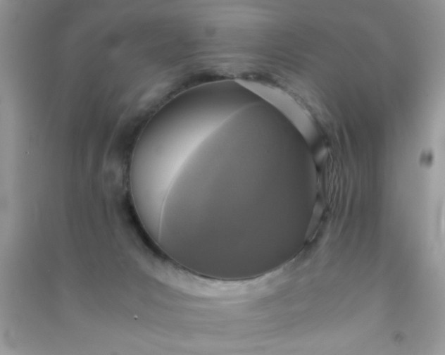 X0000090990031200708161926